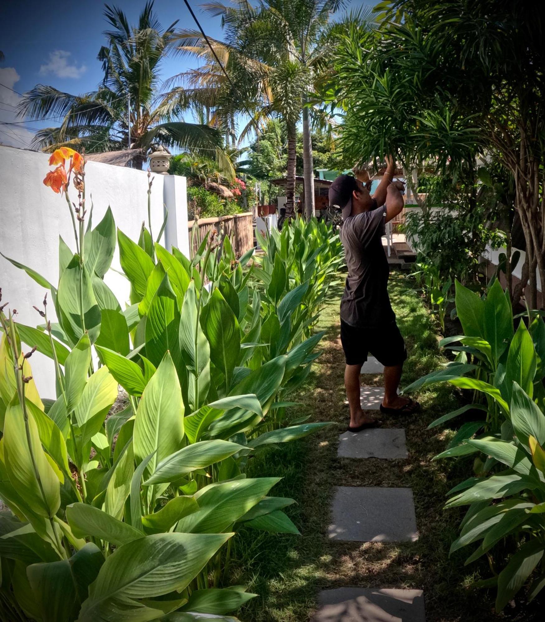 Kaktus Bungalow 4 Gili Air Ngoại thất bức ảnh